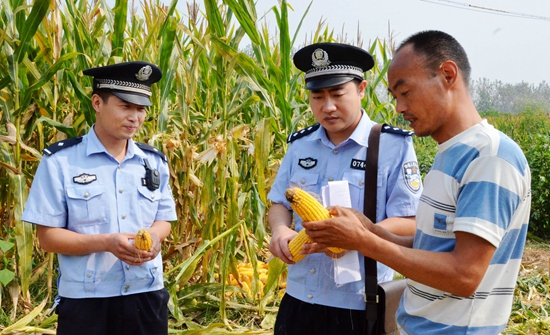 西平民警深入田間地頭護秋收（圖）
