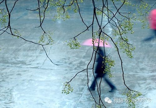 連日秋雨，警惕這些疾病乘虛而入！