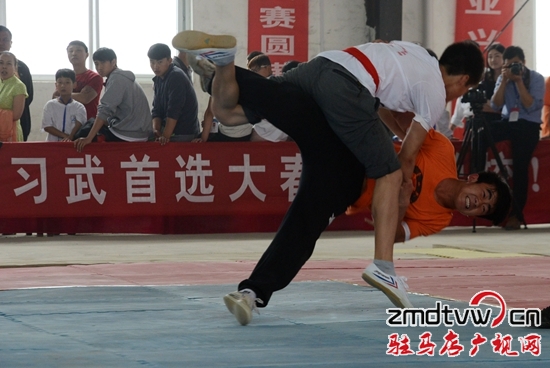 2015陳家溝太極拳精英賽在正陽(yáng)縣舉行