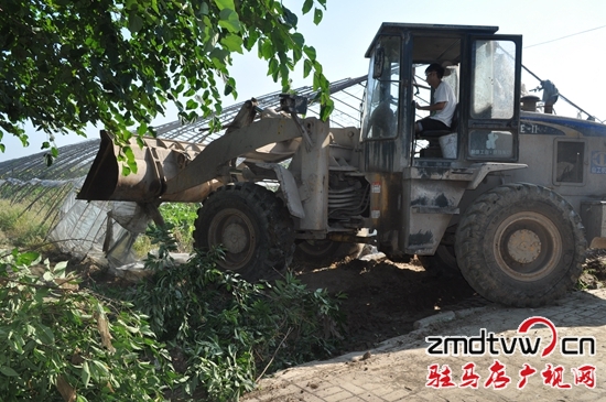 驛城區(qū)東風辦事處依法拆除項目內違章建筑
