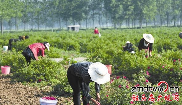 771077f46bea01bc85b2f5631133c85a_副本.jpg