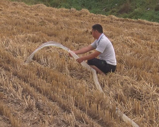 汝南：夏種旱情現(xiàn) 農民搶澆透墑水