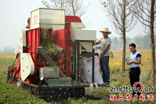 正陽(yáng)縣花生生產(chǎn)機(jī)械化程度達(dá)96%