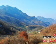 爬山：嵖岈山溫泉小鎮(zhèn)度假酒店,是我市首家五星級(jí)度假酒店,各項(xiàng)硬件設(shè)施齊全,服務(wù)周到入住酒店即送溫泉門票.嵖岈山溫泉小鎮(zhèn)旁邊有座海拔不到200米的花山, ,適合喜歡休閑健身的游客登高游玩。