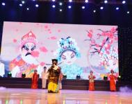 戲曲聯(lián)唱《梨園春色》中六個(gè)小演員每人一開口，便頻頻震驚四座，戲曲的魅力顯露無遺。讓人不禁感慨，大駐馬真是人才輩出......