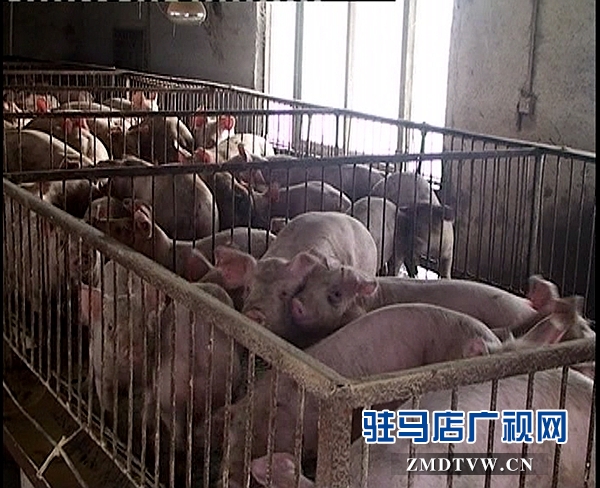<a  href='http://www.tnvelaivaaippu.org/listinfo-16-0.html'  title='養(yǎng)殖' target='_blank' >養(yǎng)殖</a>1_副本.jpg