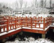 連已經(jīng)結(jié)冰的湖水邊、橋欄上，都留下了這個(gè)冬天最美的一幕！