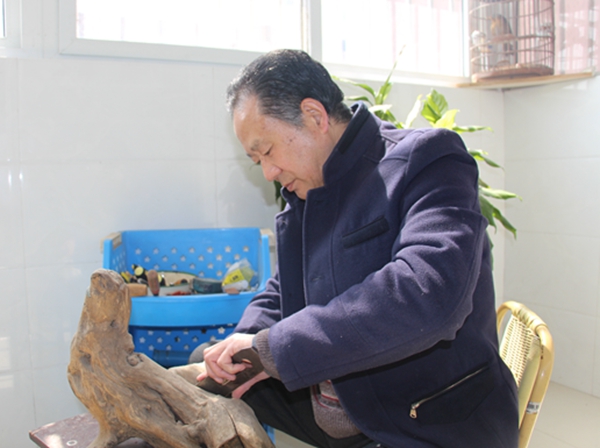 陳學政：根雕構思需要靈感