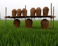近年來，留莊鎮(zhèn)以發(fā)展現(xiàn)代生態(tài)農(nóng)業(yè)和鄉(xiāng)村旅游為抓手，以留莊鎮(zhèn)觀光稻田公園、富硒生態(tài)大米等農(nóng)產(chǎn)品為突破，致力于打造一個(gè)以生態(tài)旅游為主的觀光農(nóng)業(yè)，探索走出一條傳統(tǒng)平原農(nóng)業(yè)鄉(xiāng)鎮(zhèn)發(fā)展特色農(nóng)業(yè)的新路子。以產(chǎn)業(yè)扶貧、精準(zhǔn)扶貧帶動(dòng)留莊經(jīng)濟(jì)發(fā)展，為老百姓找到一條脫貧致富的新出路。（攝影記者/武帥）
