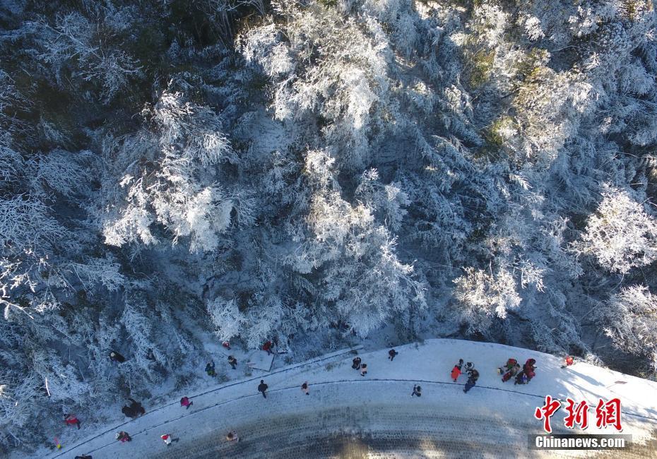 12月20日，重慶金佛山銀裝素裹雪景美如畫(huà)，吸引了不少游客前來(lái)觀賞。當(dāng)日，第19屆金佛山冰雪節(jié)正式開(kāi)幕。 陳超 攝