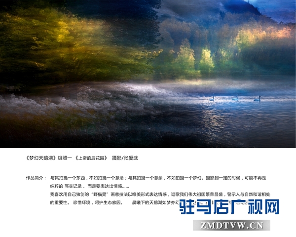 1、《夢(mèng)幻天鵝湖》一等獎(jiǎng) 張愛武.jpg
