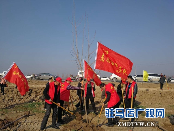 1、確山縣衛(wèi)計委在蓮花社區(qū)開展植樹造林活動.jpg