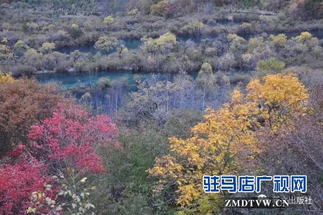 秋，落紅------
