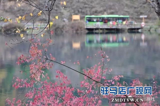 秋，落紅------
