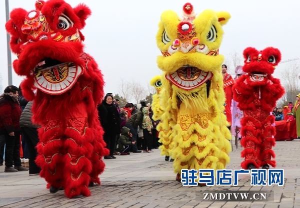 舞龍、耍獅、扭秧歌 駐馬店民間藝術(shù)展演吸引數(shù)千市民圍觀