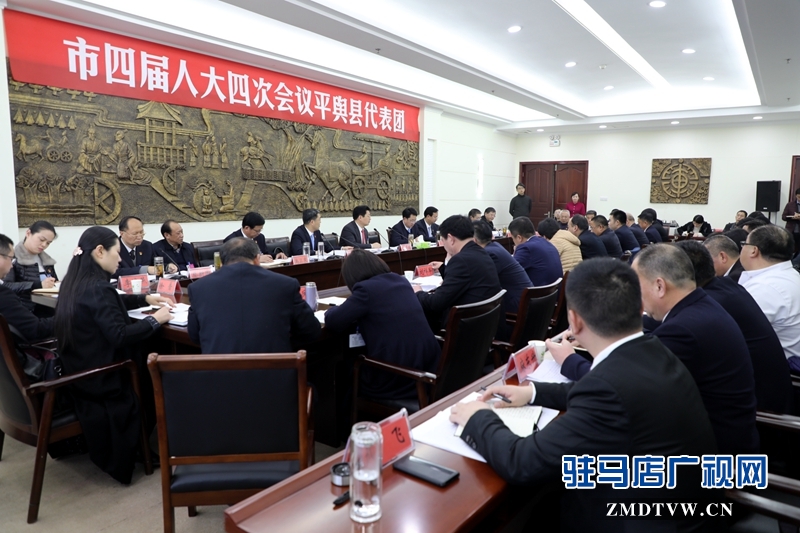 朱是西參加平輿代表團(tuán)的審議政府工作報(bào)告，聆聽(tīng)代表發(fā)言。
