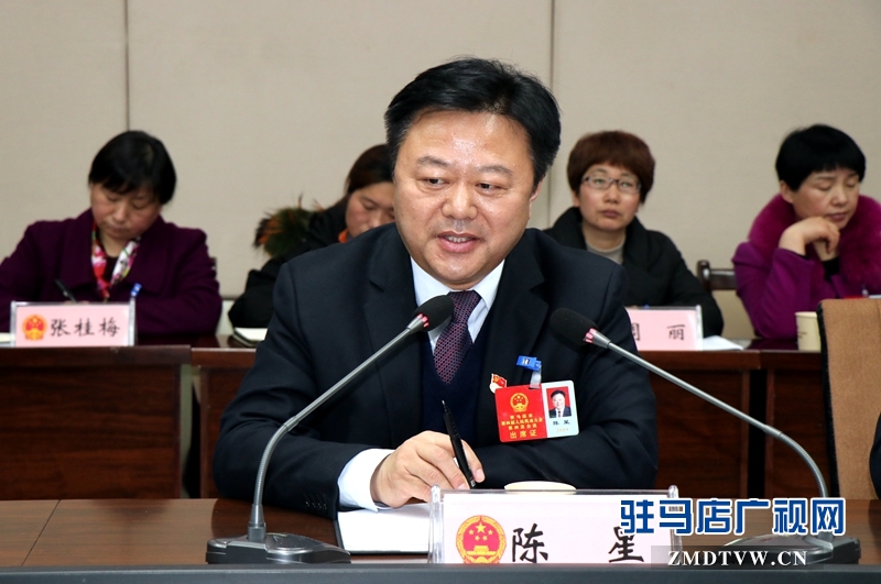 陳星參加上蔡代表團(tuán)的審議政府工作報(bào)告時(shí)發(fā)言。