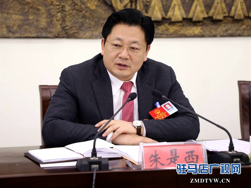 朱是西參加平輿代表團(tuán)的審議政府工作報(bào)告時(shí)發(fā)言。