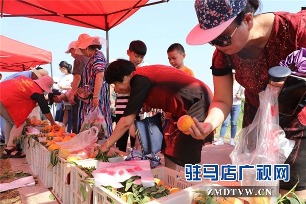 武漢旅游專列800余人赴平輿縣藍(lán)天芝麻小鎮(zhèn)觀光旅游開啟藍(lán)天芝麻小鎮(zhèn)“旅游元年”