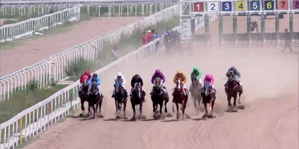 亮馬圈、彩衣、閘廂……記者盤點速度賽馬賽前看點