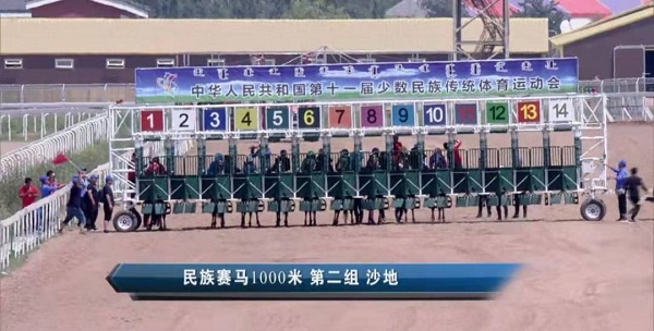 亮馬圈、彩衣、閘廂……記者盤點速度賽馬賽前看點