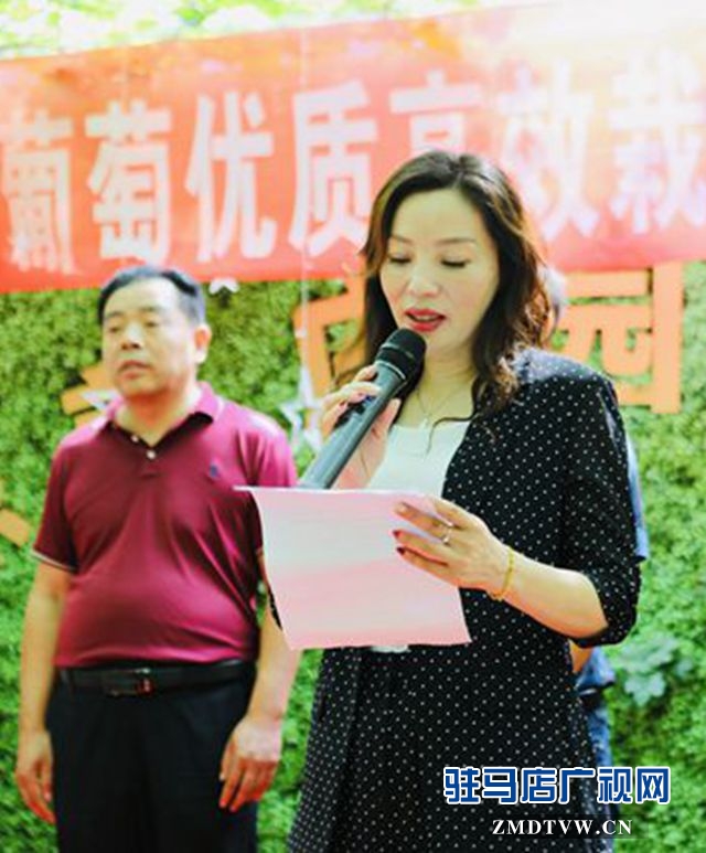 葡萄熟了！駐馬店杰美葡萄莊園盛大開園