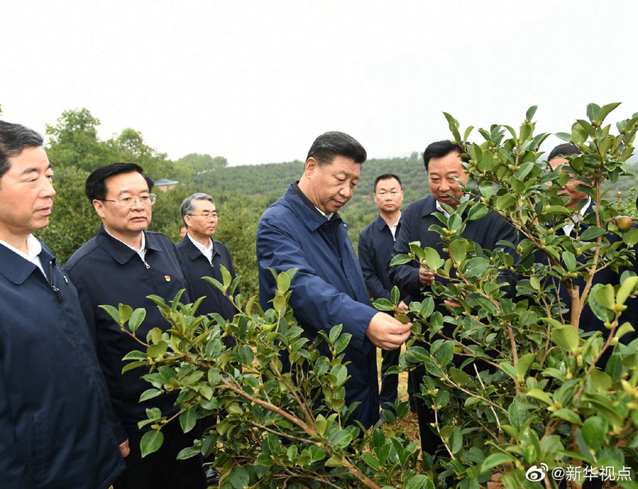 習(xí)近平：路子找到了，就要大膽去做