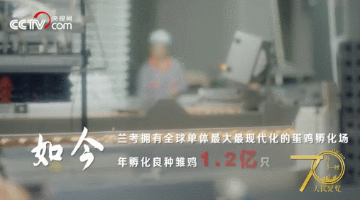 記住蘭考！央視網(wǎng)全景再現(xiàn)蘭考，聽聽親歷者的心聲