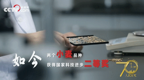 記住蘭考！央視網(wǎng)全景再現(xiàn)蘭考，聽聽親歷者的心聲
