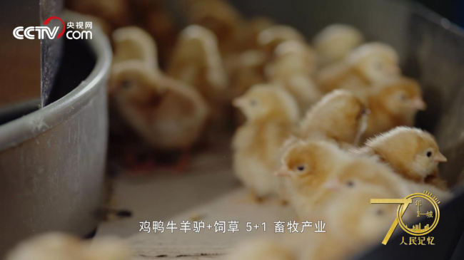 人民記憶·70年70城|記住開封蘭考，焦裕祿精神的發(fā)源地
