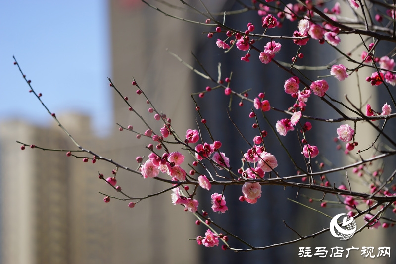 窗外，暖意融融