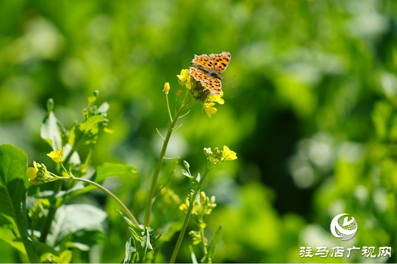 我們堅(jiān)守，為了早日重逢