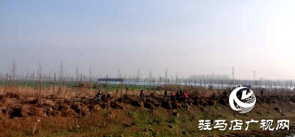上蔡縣蔡都街道多舉措組織開展植樹造林活動(dòng)