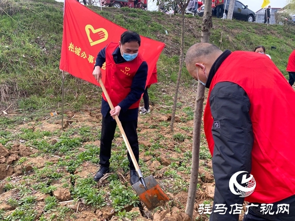 西平縣柏城街道辦事處組織開(kāi)展義務(wù)植樹(shù)活動(dòng)