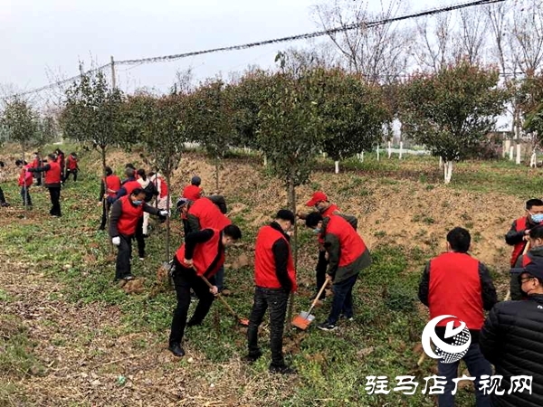 西平縣柏城街道辦事處組織開(kāi)展義務(wù)植樹(shù)活動(dòng)
