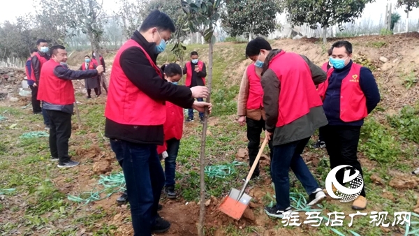 西平縣柏城街道辦事處組織開(kāi)展義務(wù)植樹(shù)活動(dòng)