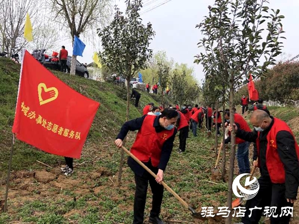 西平縣柏城街道辦事處組織開(kāi)展義務(wù)植樹(shù)活動(dòng)
