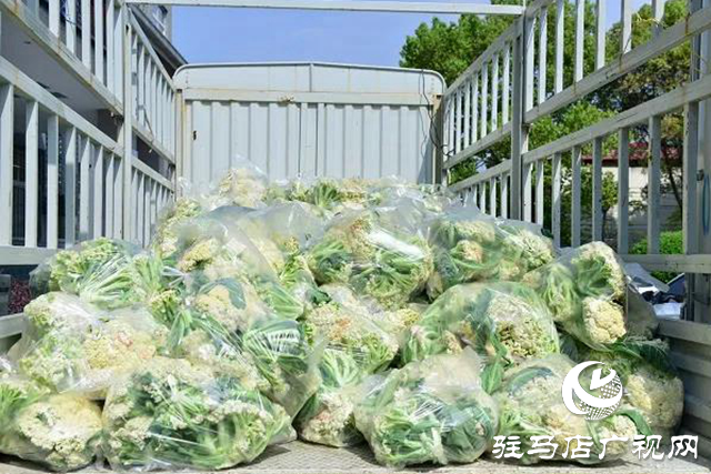 上蔡縣：文明單位伸援手，以購(gòu)代捐解民憂