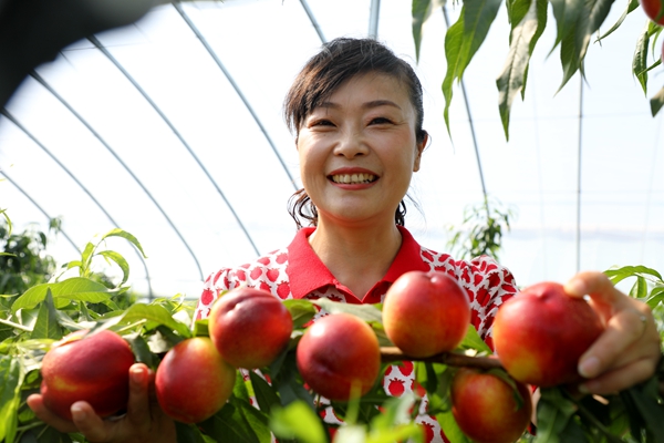 黨員為農(nóng)產(chǎn)品代言，政協(xié)助力脫貧攻堅