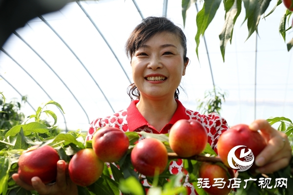 黨員為農(nóng)產(chǎn)品代言，政協(xié)助力脫貧攻堅(jiān) 