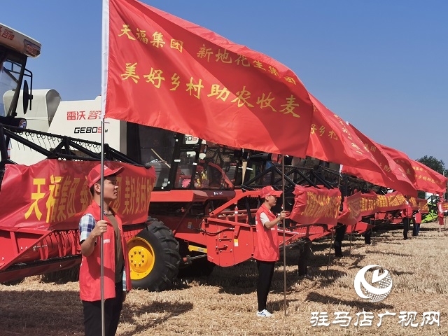 天福、新地花生集團(tuán)助農(nóng)收麥忙 三夏時(shí)節(jié)確保顆粒歸倉(cāng)