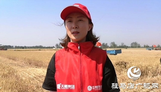 天福、新地花生集團(tuán)助農(nóng)收麥忙 三夏時(shí)節(jié)確保顆粒歸倉(cāng)