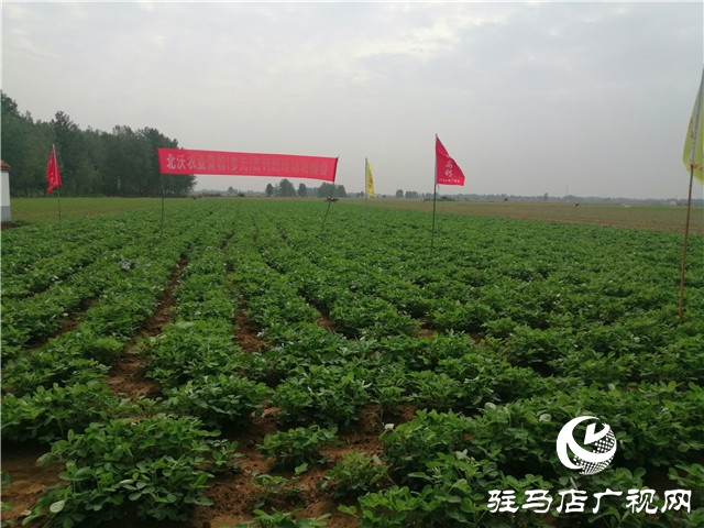 “好鈣肥，北沃造”——北沃農(nóng)業(yè)全國系列回訪第二站