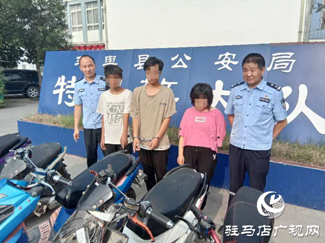 手速再快，還是載了！三個盜電車毛賊平輿落網(wǎng)