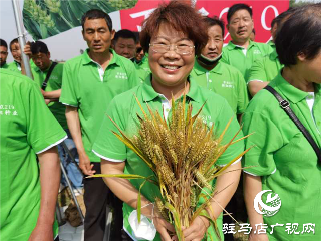 小麥要高產 良種是首選 ——噸源種業(yè)2020年小麥高產示范啟動會 
