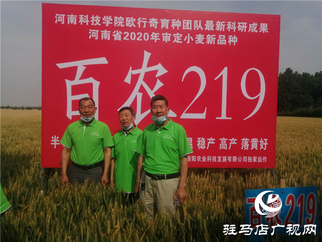 小麥要高產 良種是首選 ——噸源種業(yè)2020年小麥高產示范啟動會 