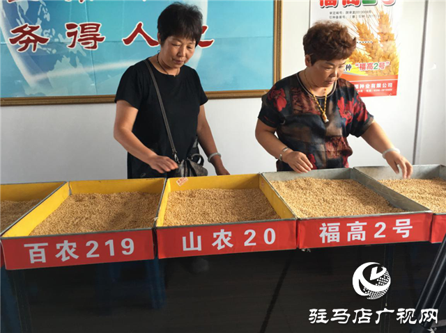 小麥要高產 良種是首選 ——噸源種業(yè)2020年小麥高產示范啟動會 