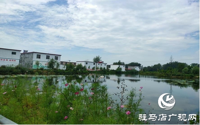 平輿：農(nóng)村換新顏 百姓樂(lè)開懷