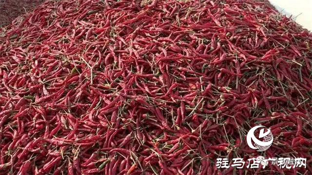 攜手北沃 見證豐收 ——北沃高鈣肥再顯神威，表現(xiàn)驚艷眾人！