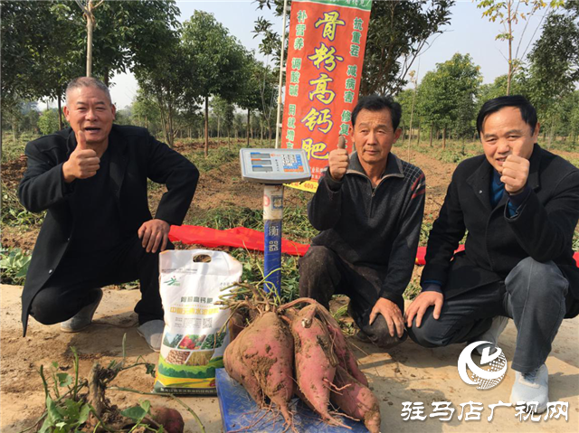 攜手北沃 見證豐收 ——北沃高鈣肥再顯神威，表現(xiàn)驚艷眾人！